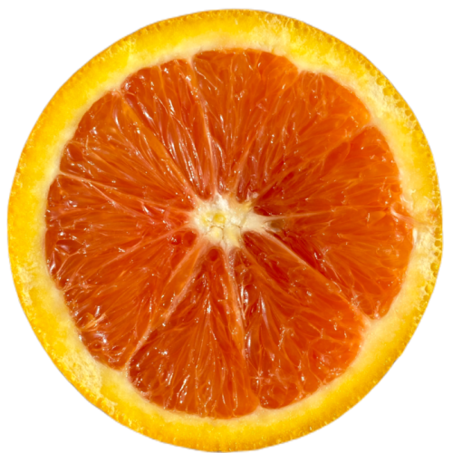 Cara Cara Navel Oranges