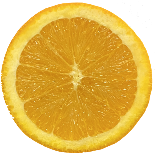 Premium Navel Oranges